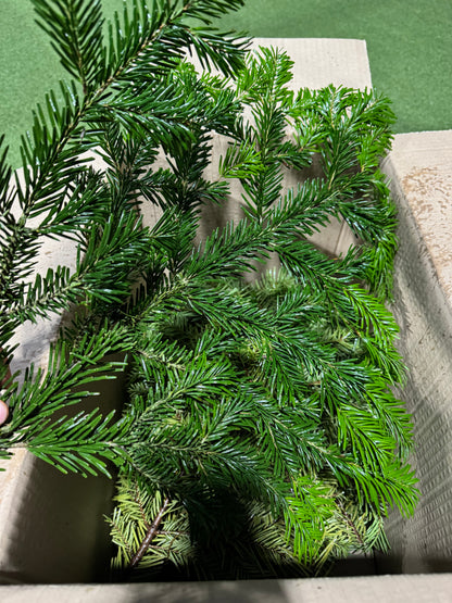 Nordmann Fir Foliage box 4-5kg